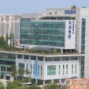 조선대학교 치의학전문대학원 연합뉴스