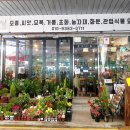 진스플라워 네이버블로그