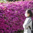 대덕대로-22 국민일보