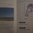 선유 손칼국수 이미지