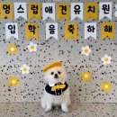 멍스럽 네이버블로그