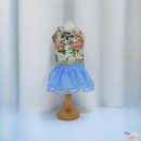 펫보드레 이미지