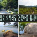 상수리PC 이미지