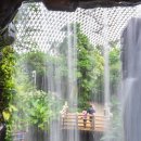 거제식물원 이미지