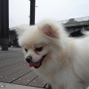 호수공원(아) 이미지