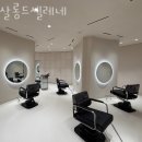 셀레네 이미지