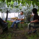 수반농장 이미지