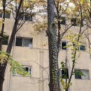 원종어린이공원 이미지