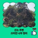 평촌마을회관 | 산소 주변 쓰러진 나무 정리