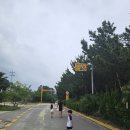 남애초등학교 이미지