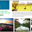 현진씨티 이미지