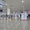 여행 1일차 (에어로케이/청주-제주/제주ok렌트카/우진해장국/우무/마음에온/미뉴얼/마마네회포장/스테...