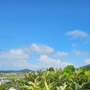 하정농장 이미지