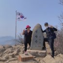 클린푸드