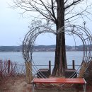 신정호국민관광지 이미지