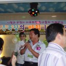 여의도한강카페 Daum카페