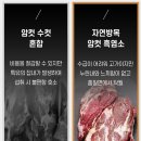 천마 흑염소 농장 이미지