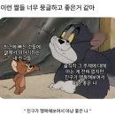 연미김밥 | 좋았다가도 싱숭생숭 힘들었던 11월🥀