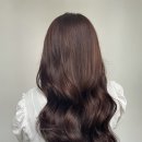 더이쁜헤어 이미지