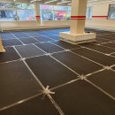 핫도그 애견 이미지