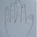 [수상] 중지-가운데 손가락 이미지
