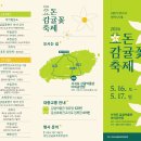 위미3리교차로 1 | [제주/축제]2026 효돈감귤꽃축제 제주 5월 여행 추천! 감귤꽃·체험·주차 정보 총정리