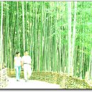 담양체육관 이미지