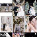 W04. 본식 스냅촬영 예약 (JW컨벤션 제휴업체: 도트,범작,그래피디)