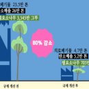 생명+중첩 이미지