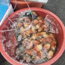 구룡포시장 이미지