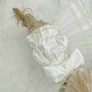 러블리(Lovely) 강아지