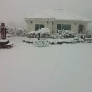 강하면사무소 1층 이미지