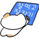 동동 애견 미용 이미지