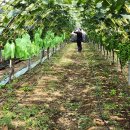 해찬농장 이미지