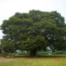 강천초 단암분교 이미지