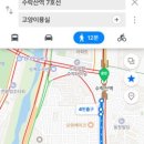 고양이묭실 이미지