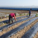 정읍단풍미인조합공동사업법인 이미지