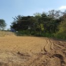 전진농장4 이미지