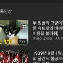 유튜버로 인싸 되기 이미지