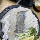 태양횟집 | 전농동 맛집 태양수산 모듬회, 오징어튀김 내돈내산 솔직후기 답십리 횟집 추천