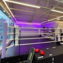 팔로니아 복싱 | 복싱 재밌다! _ 팔로니아 복싱 5개월 후기