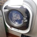 대우세탁 | 양천구 신정동 SM엘루이아파트 대우 벽걸이형 미니 드럼 세탁기 분해청소 후기
