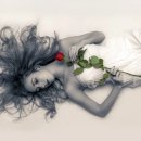 제이에스피 이미지