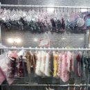 남창애견샵 복실강아지 이미지