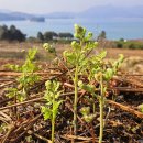 창선생활체육공원 이미지