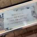 오렌즈사당점 | 2024년 12월 ㅣ 자카르타 일상에서 잠시 서울 일상 (2) 겨울의 끝자락들을 모아모아 (n번째 크리스마스...