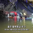 광부 농장 | 충주 활옥동굴, 와사비 카페 맛집과 카약 입장료 할인 여행 후기