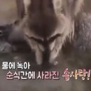 오이데