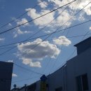 무진장건강원 - 강서구 방화대로21길 84 | 무진장건강원