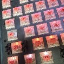 수원-0057 이미지